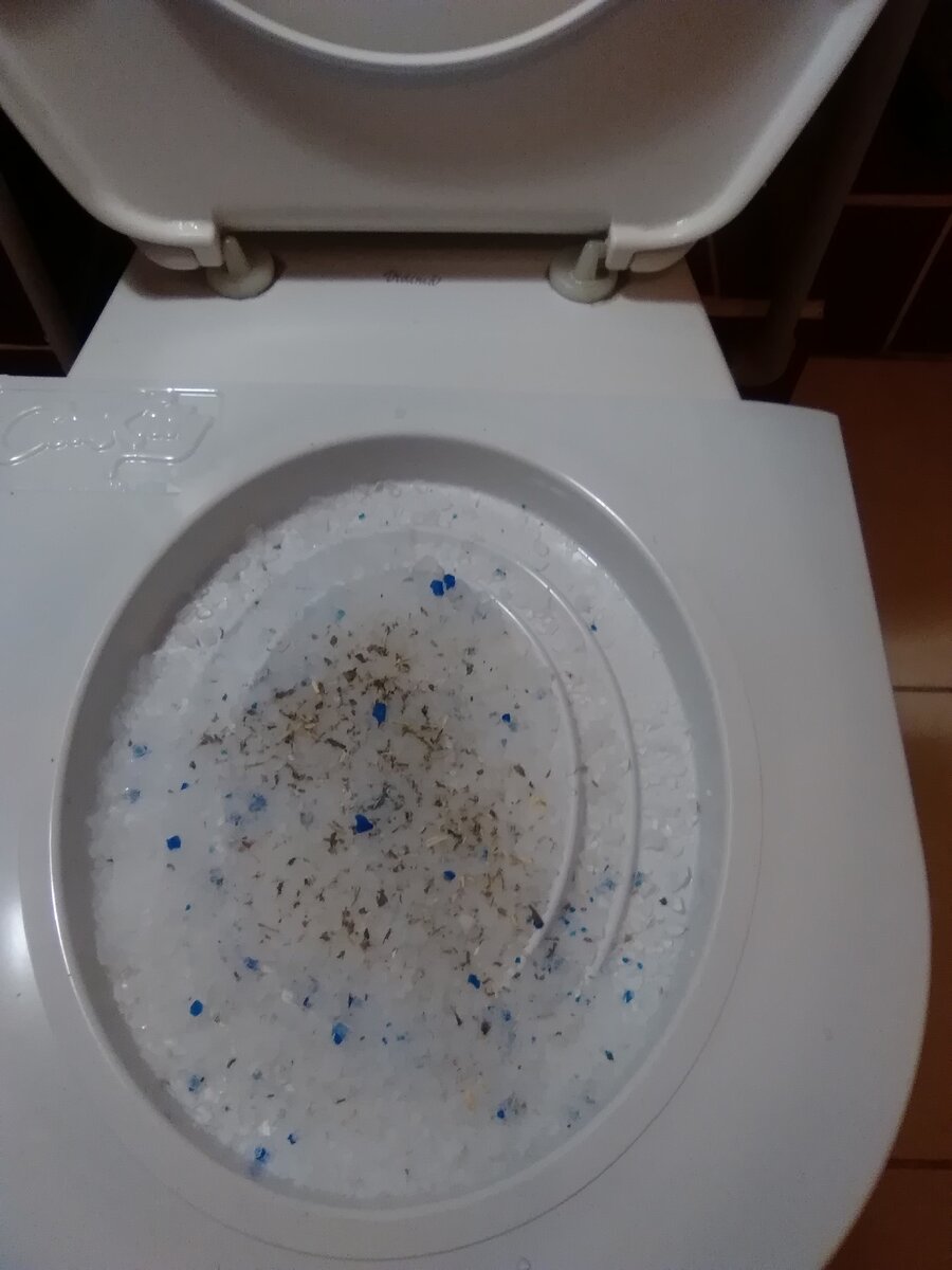 Насыпала немного наполнителя и специальной травки