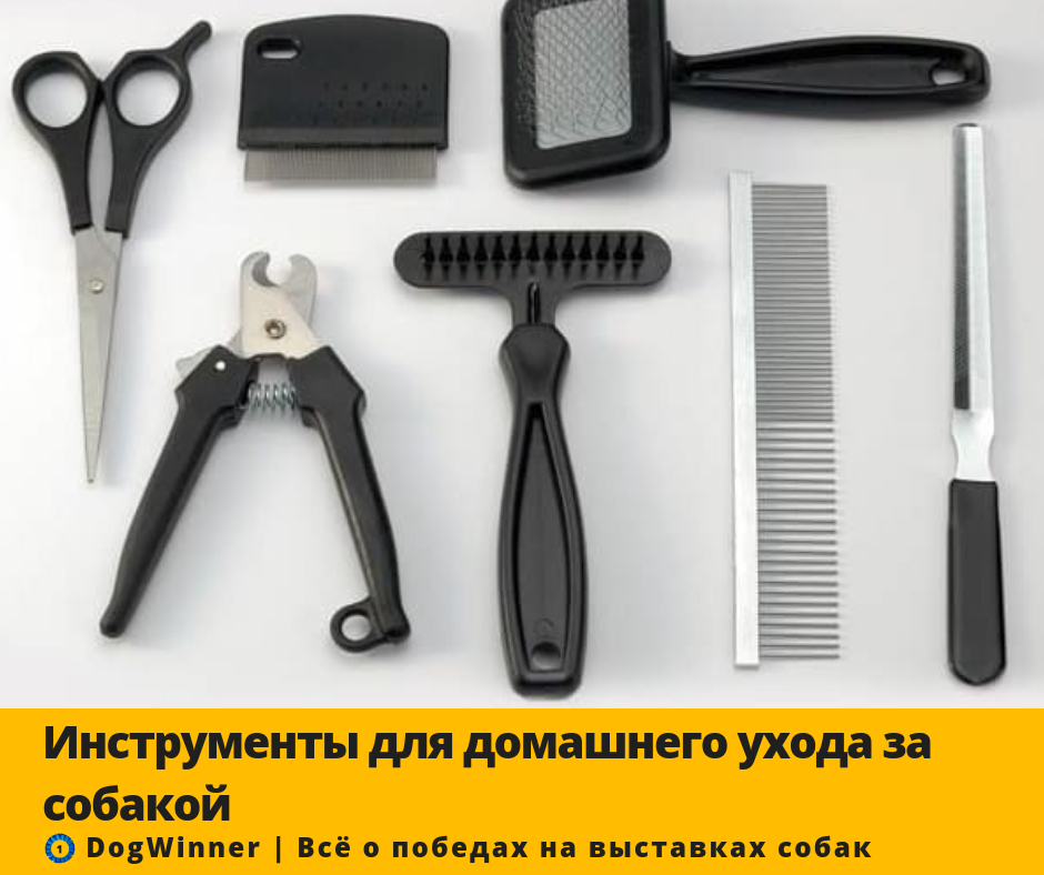 Инструменты для груминга. Приборы для груминга. Приборы для ухода за собаками. Грумер инструмент для тримминга.