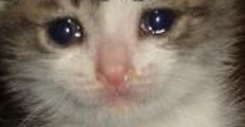 
_____________________________________________________________