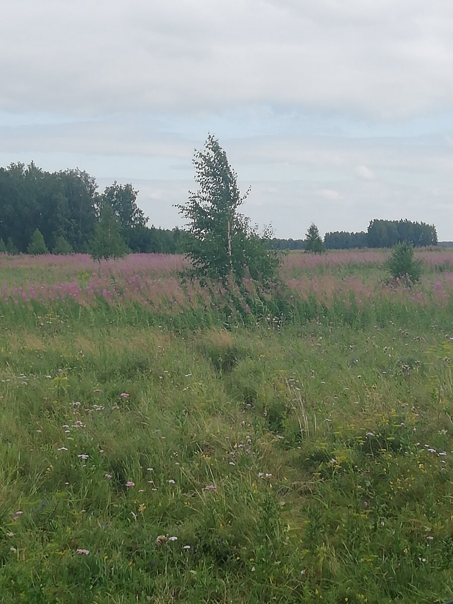 И это тоже личное фото.