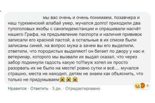 Скриншот одного из сообщений о гибели собаки в Facebook