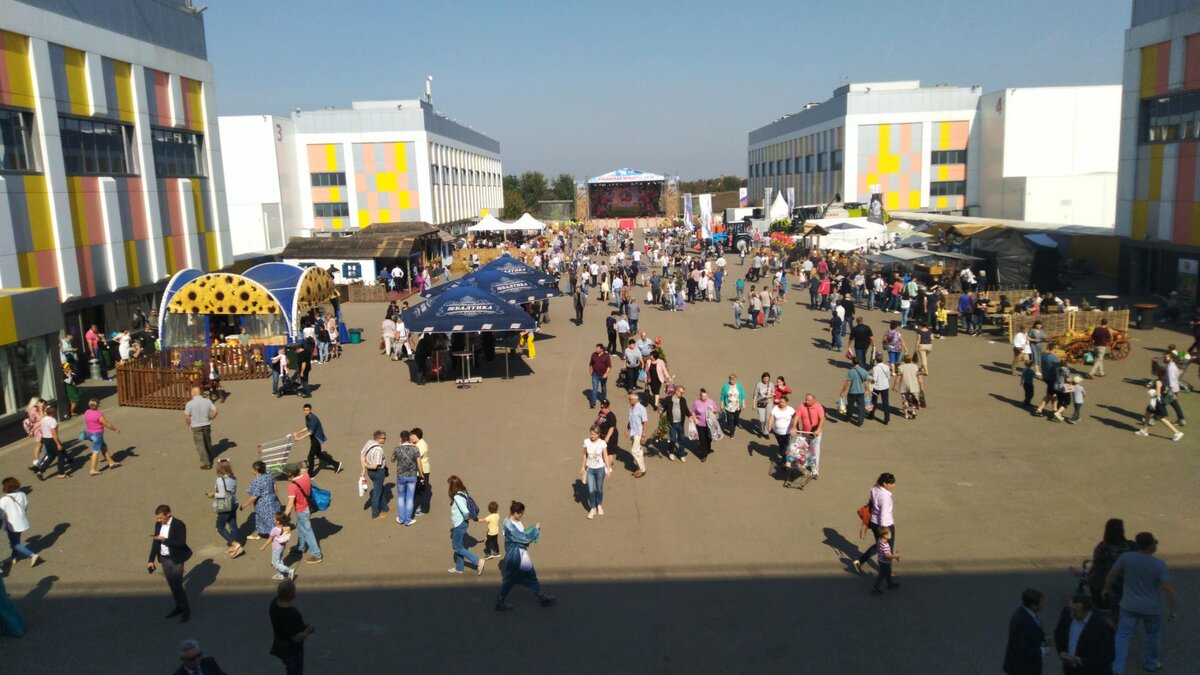 На ярмарке работает три павильона — продукция сада-огорода, мясо-молоко, вино, мёд, изделия ремесленников