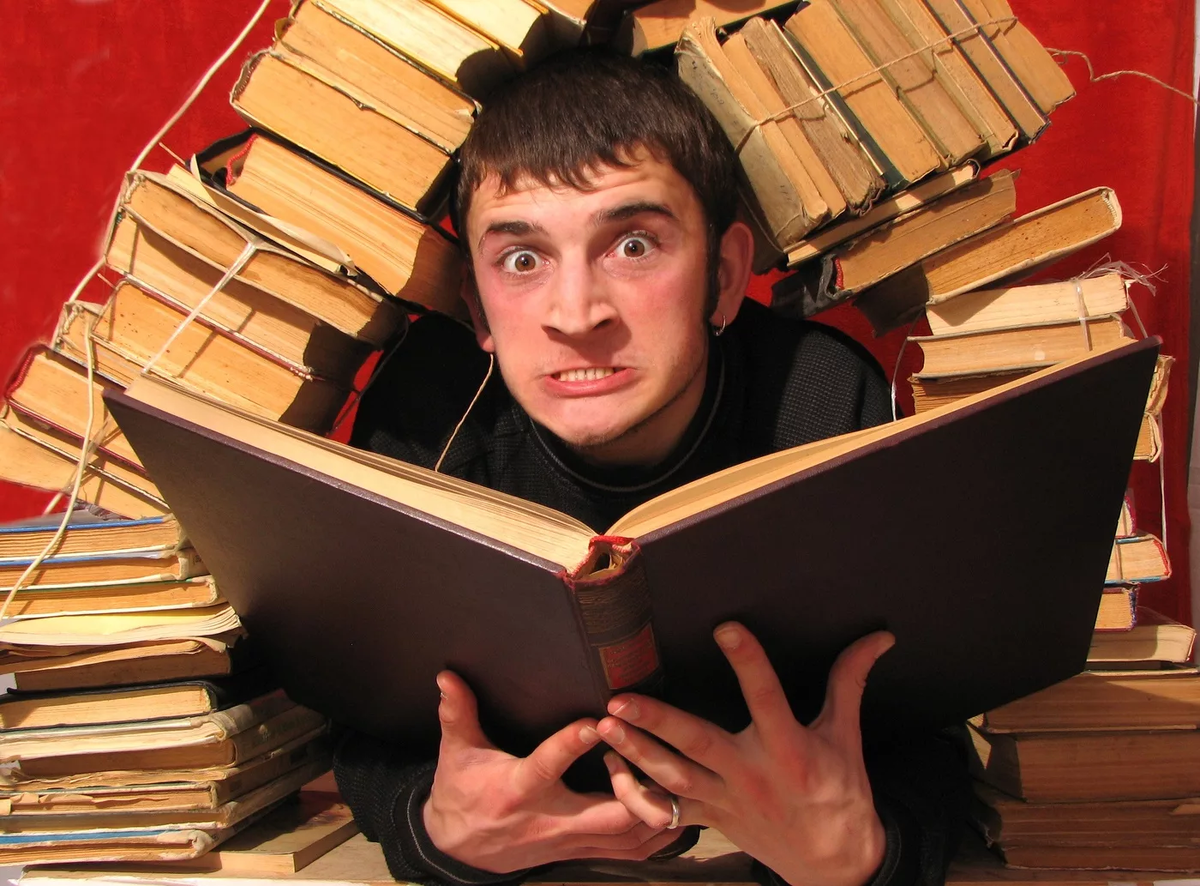 Фотография с сервиса Яндекс Картинки