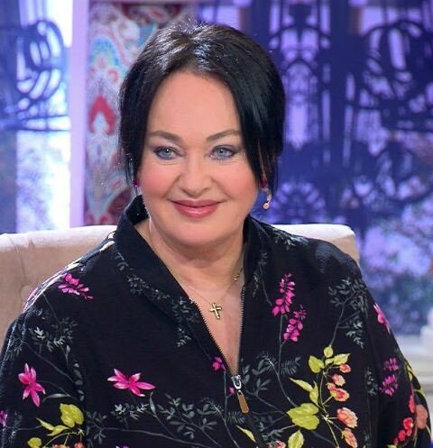 Гузеева, телешоу, работа