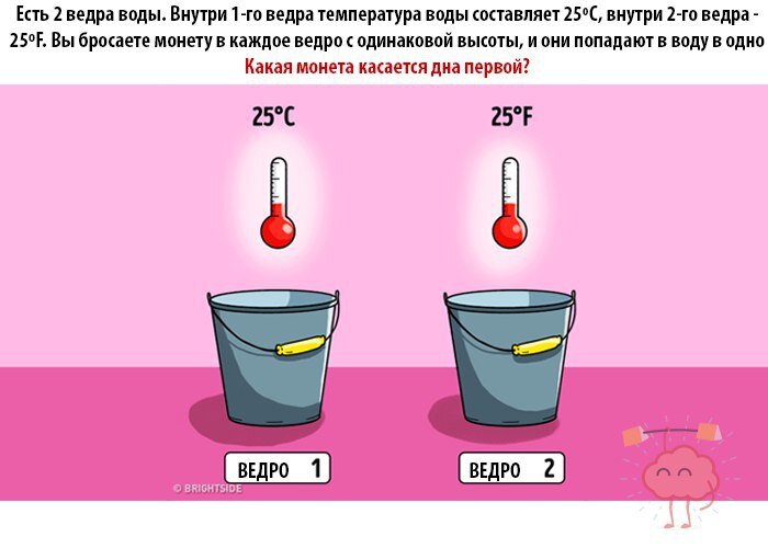 Манхва моя леди с подвохом