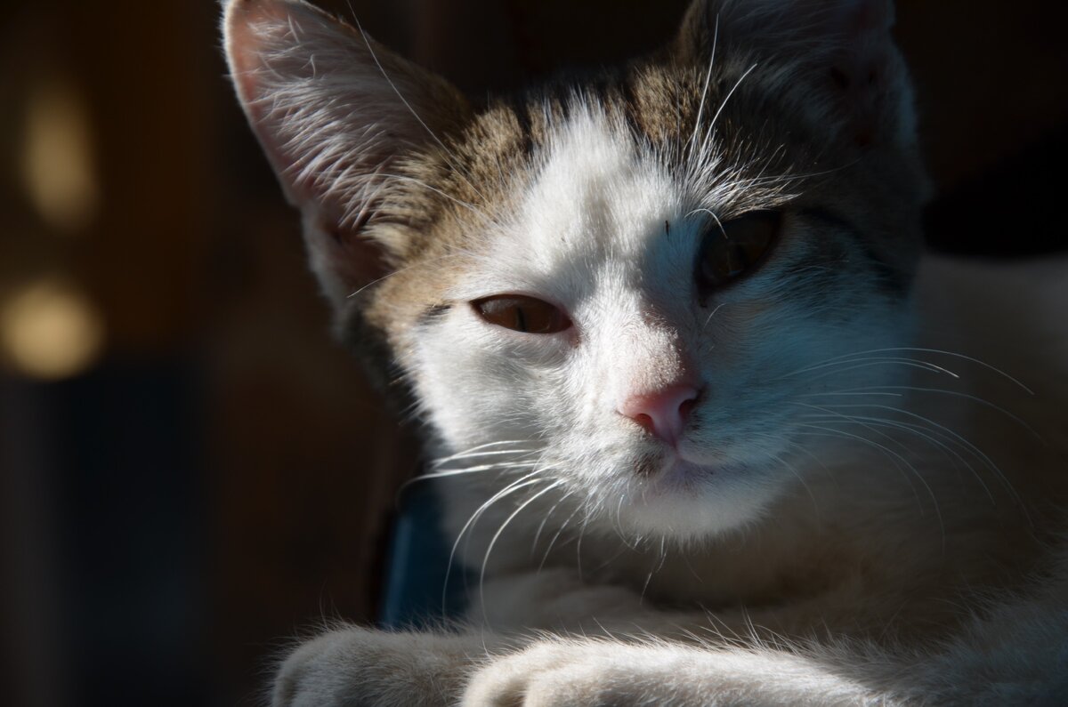 Фото от автора.