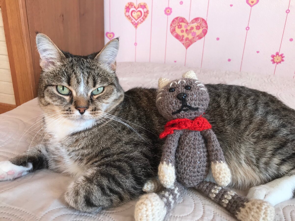 Этого котика я у неё купила 4 года назад. Мой ребёнок тогда очень хотел котёнка, а через неделю отец принёс живого, вот он рядышком. Раньше они были одного размера )))