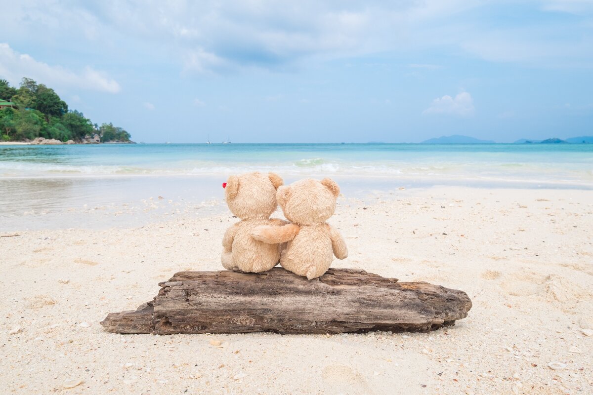 https://www.goodfon.ru/download/mishka-cute-sand-para-romantic-sea-pliazh-liubov-dvoe-love-1/5882x3921/
