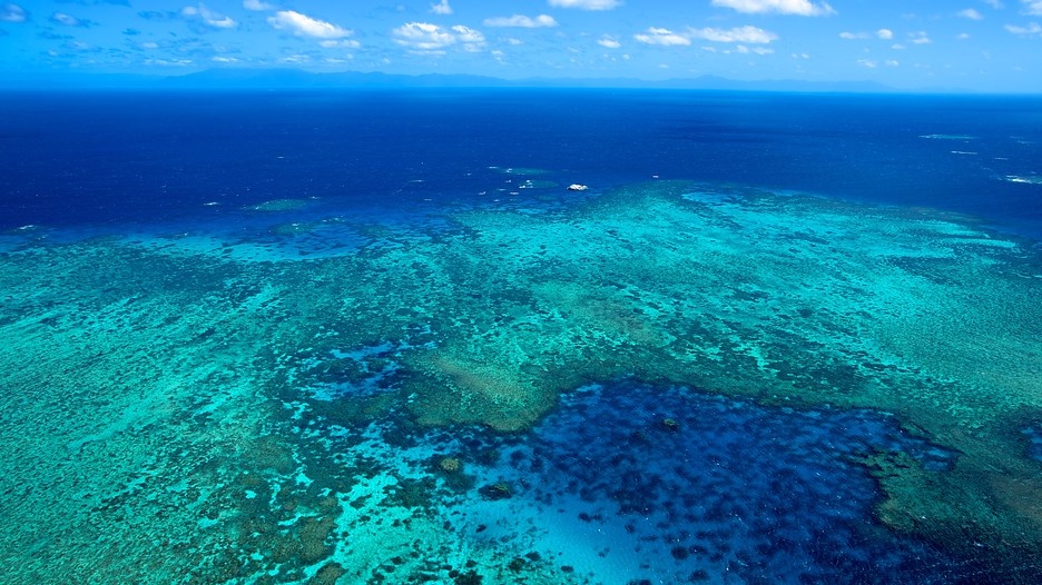 Coral Reefs and Climate Change: An Expert Overview