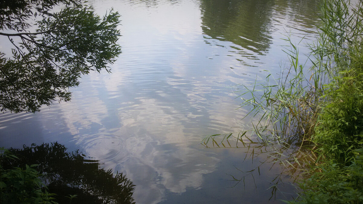 Отражение облаков в реке. Фото автора