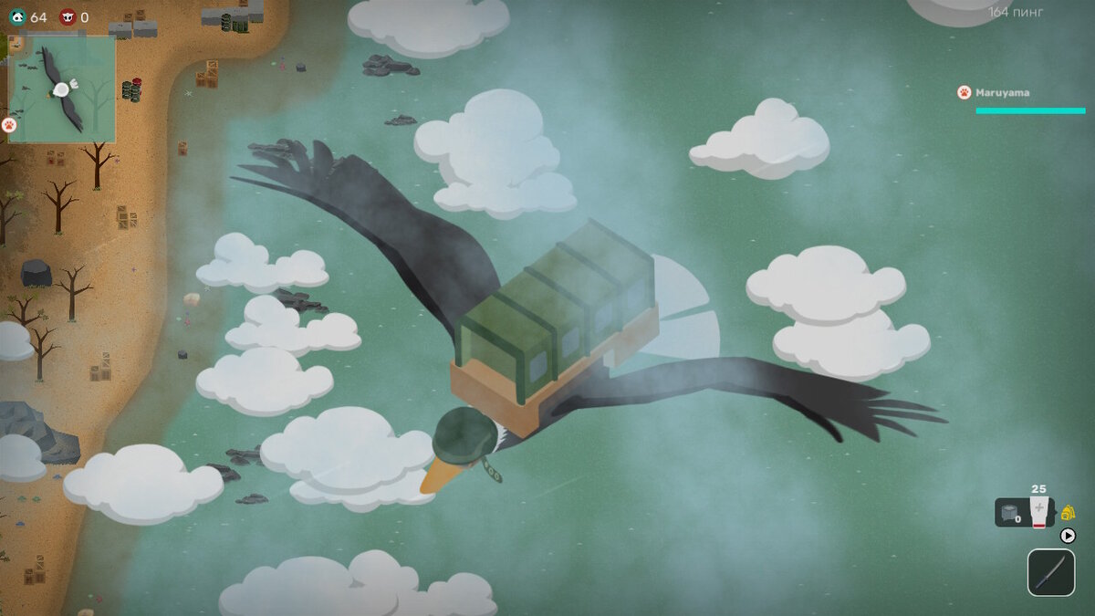 Это самолет? Это корабль? Нет, это утка!