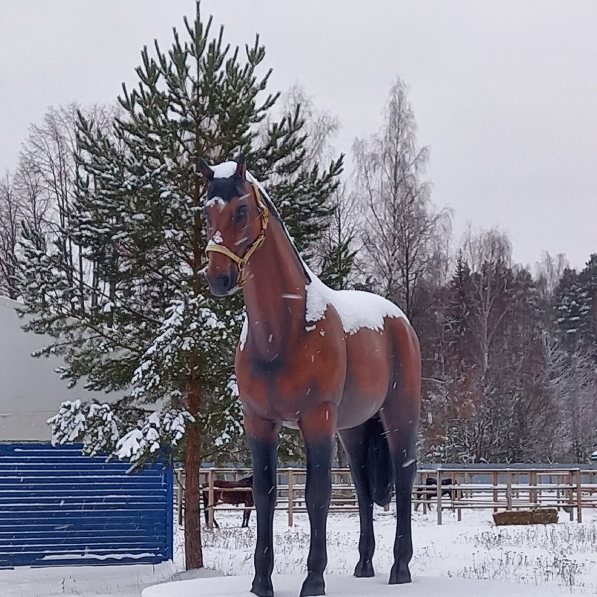 За спиной у скульптурного коня видны левады, где гуляют живые лошадки