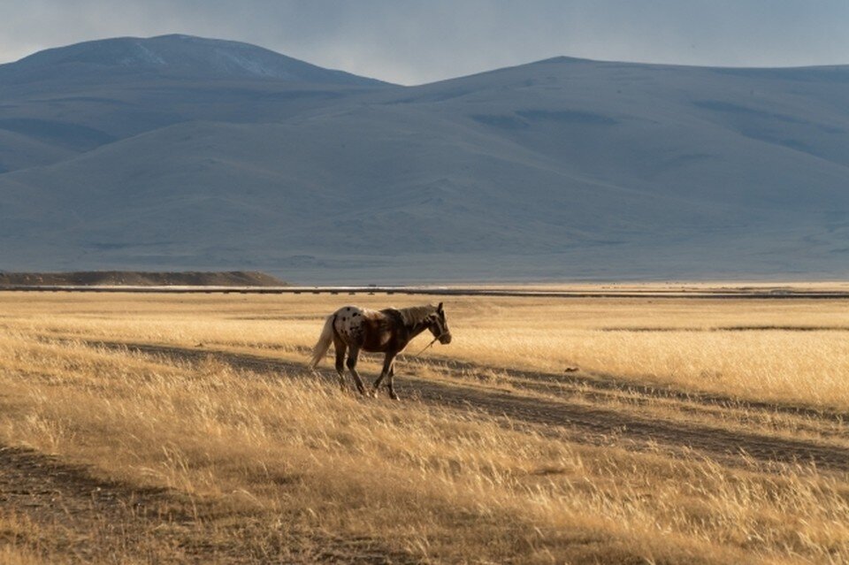     Пропавшего рыбака с конца октября разыскивают в Бурятии Михаил ФРОЛОВ