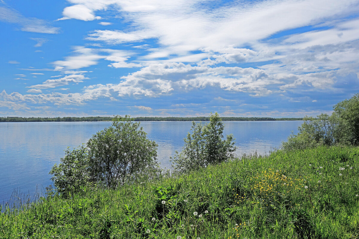 Берег Северной Двины Копачево