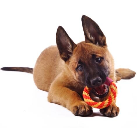 Эндокринологические болезни