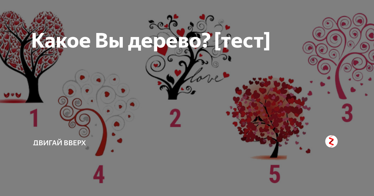 Дерево теста. Тест дерево любви. Тест выбери дерево любви. Тест с деревьями в картинках расшифровка. Ответы на тест дерево любви.