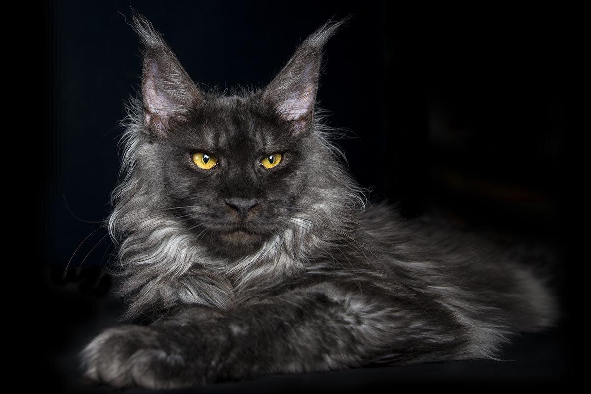 Источник: pintertest.com