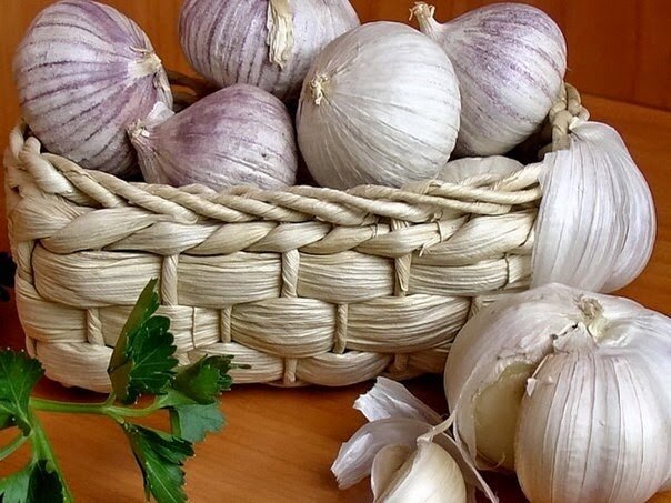 фото из сети