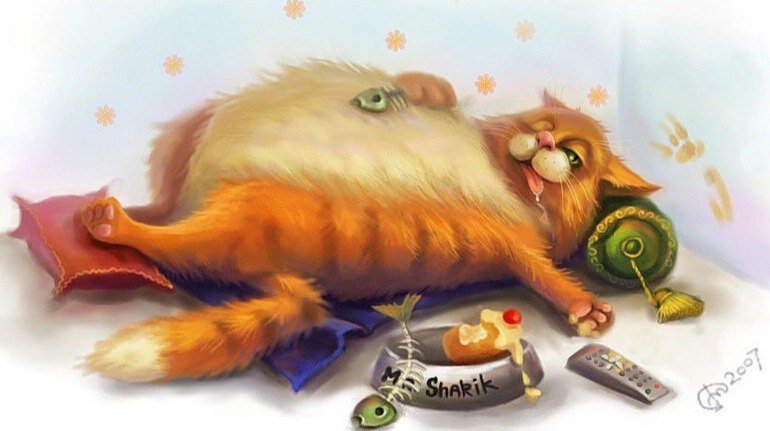 Картинка отсюда http://animalsfoto.com/ К сожалению, не нашла имя автора.

