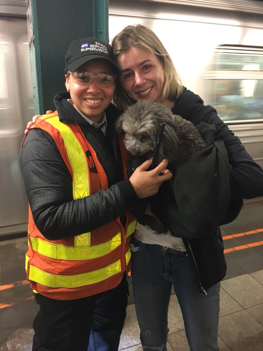 Фото: twitter.com/NYPDTransit