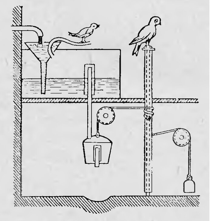 Поющая птичка и сова.