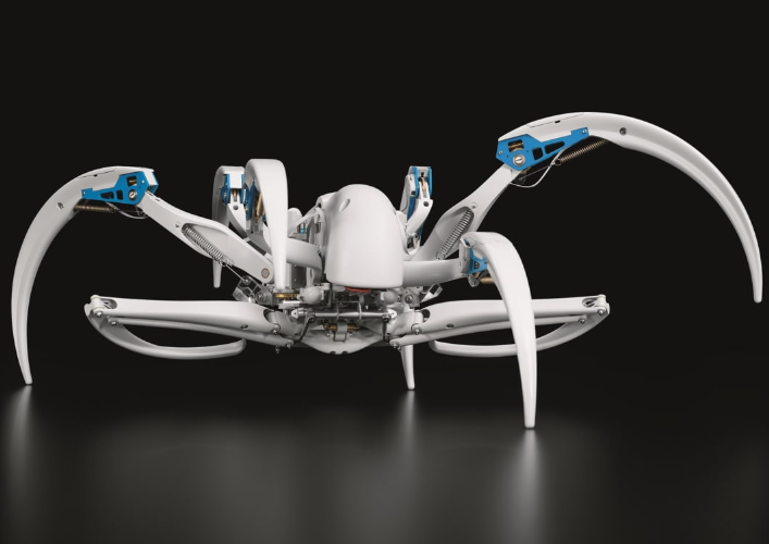  Прототипом робота BionicWheelBot является паук вида Cebrennus rechenbergi, его  способность  перемещаться, как колесо,  помогает избегать хищника или другой опасности. С функциональной точки зрения способность трансформироваться в колесо позволяет роботу BionicWheelBot передвигаться по поверхностям практически любого   характера с максимально эффективно в каждом случае.