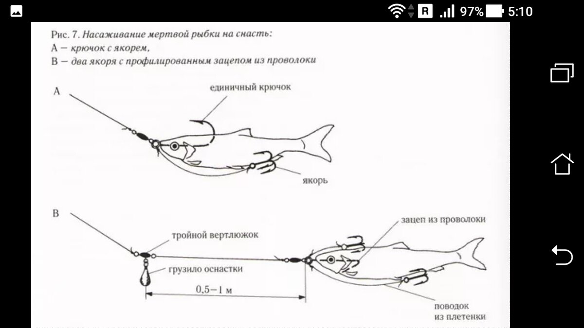 Главное меню