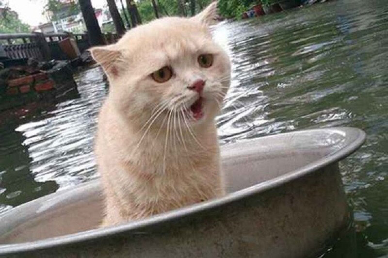 Источник: pinterest.com