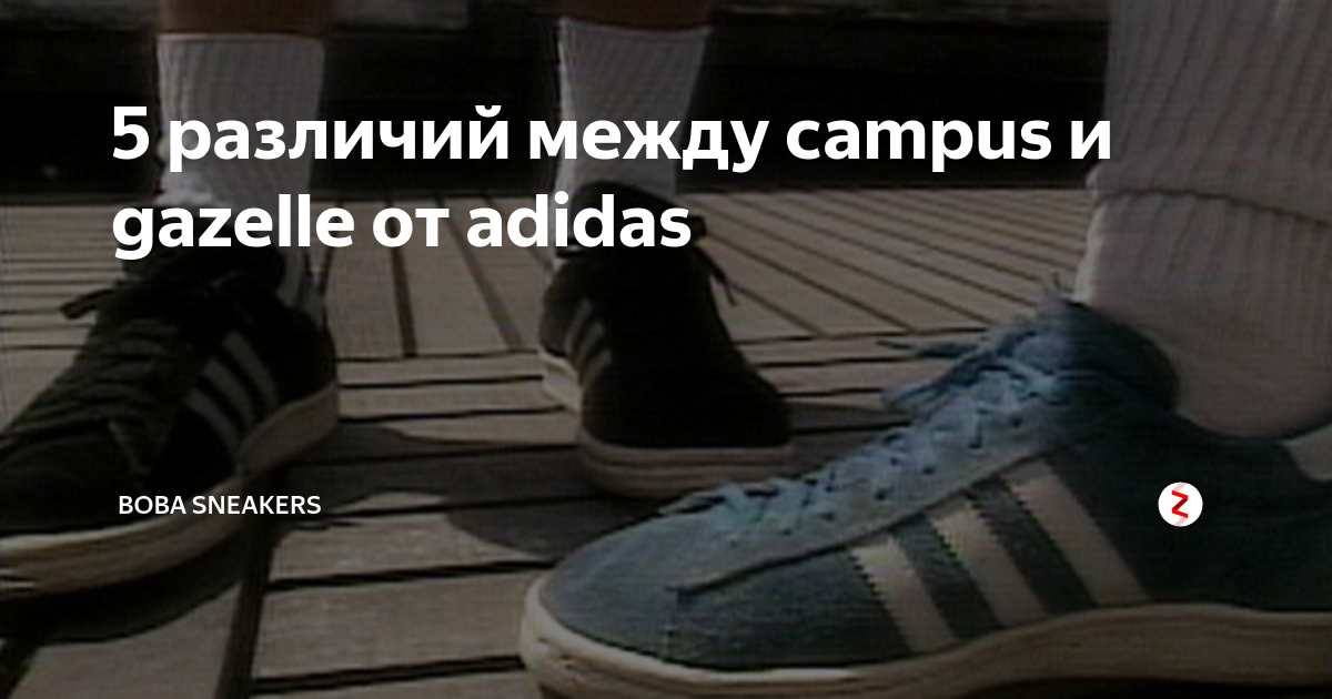 Adidas campus vs outlet gazelle