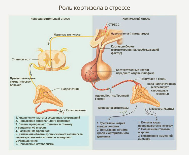 Зачем сдавать этот анализ?