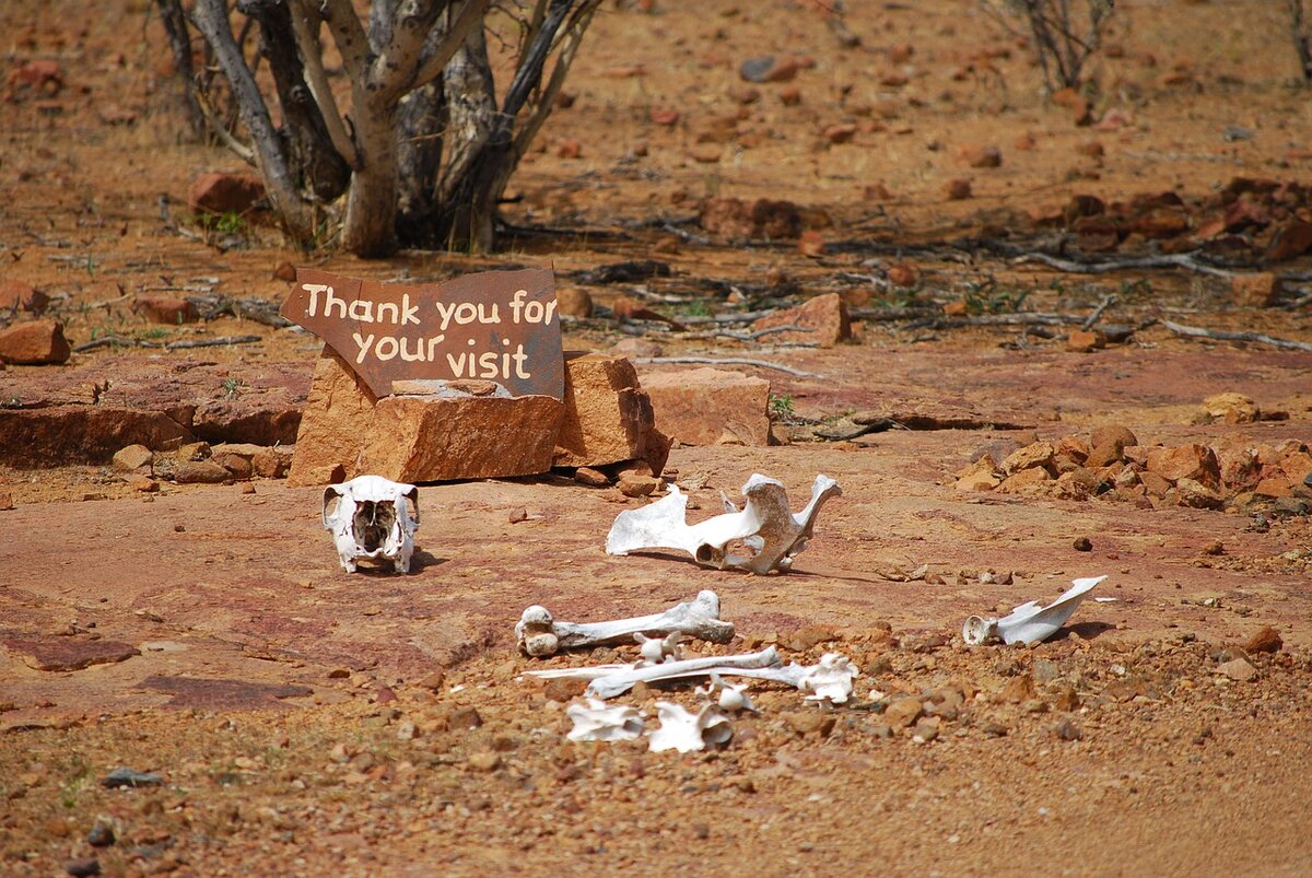 Картинку выбрала не случайно. Именно так выглядит мое прошлое. Спасибо, что оно было, иначе я бы ничему не научилась
