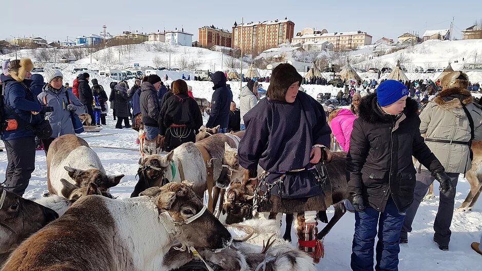 день оленевода салехард 2024 программа
