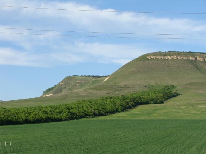 Поверхность склона горы покрыта лесом ценных пород: граб, ясень дуб, шелковица, груша, абрикос, грецкий орех, алыча, клен, тополь, сосна, акация с подлеском из боярышника, бузины, бересклета, клена. Воздух, наполненный запахом трав, настолько чист, что у городских жителей с непривычки сбивается дыхание. 