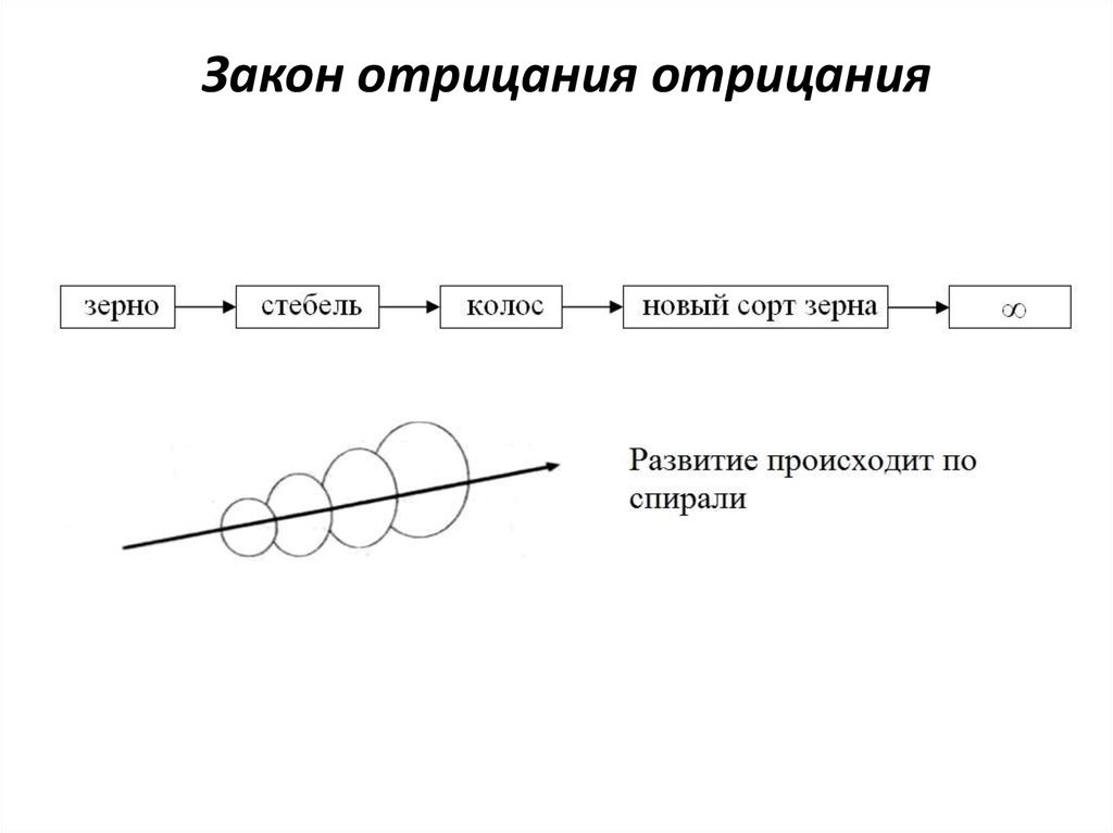 (ЗЕРНО-ваши родители, СТЕБЕЛЬ-вы, КОЛОС-ваши дети, НОВЫЙ СОРТ-ваши внуки)