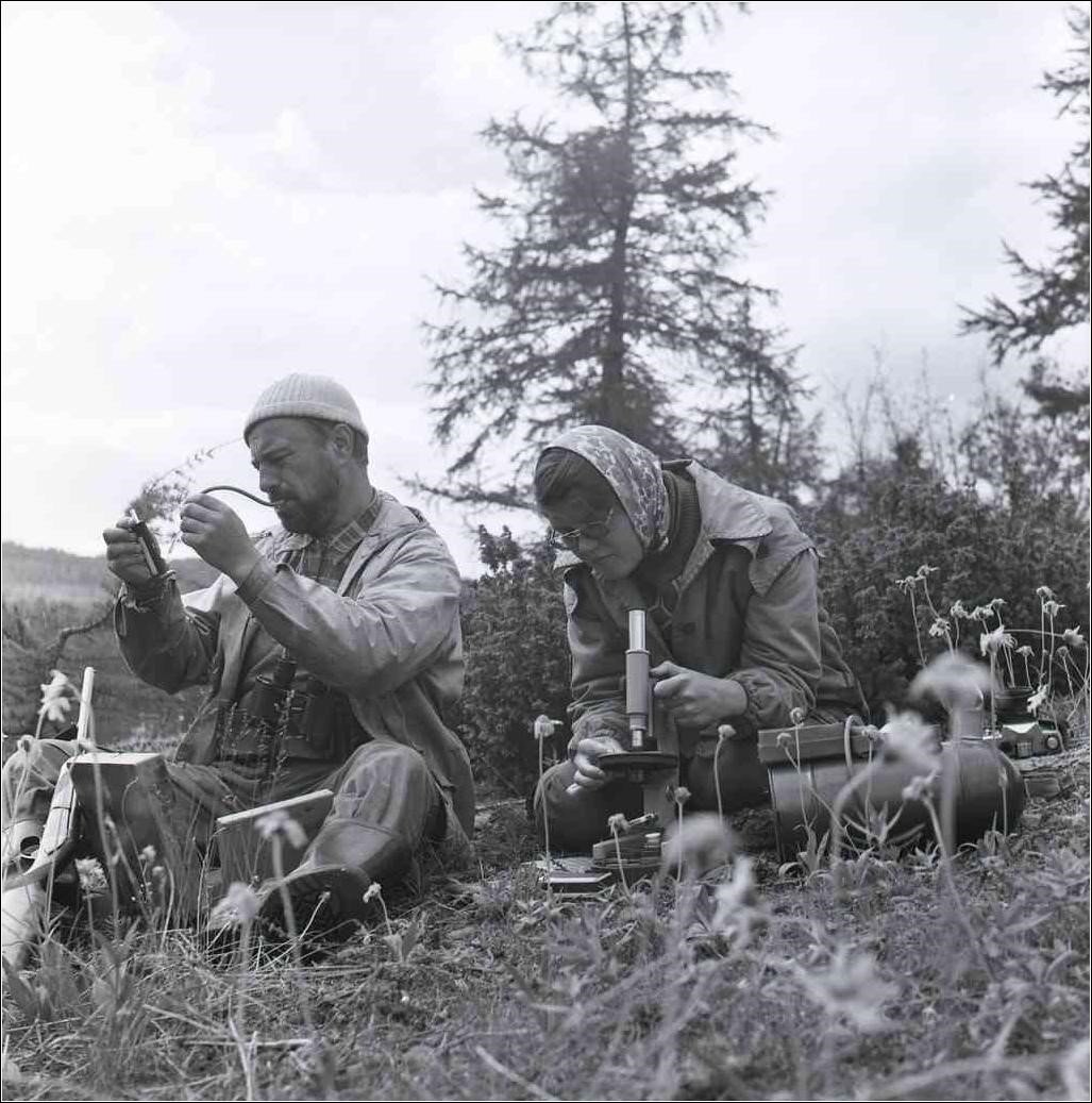 Заповедник 1935 года. Альфред Поздняков. Эдуард ирисов Алтайский заповедник. История Алтайского края Болдыревы.