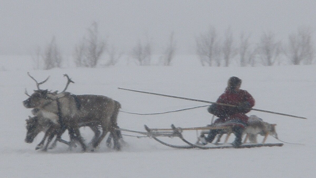 Керектер ай. Малочисленные народы России кереки. Кереки (анкалгакку). Кереки (Чукотка). Кереки народ России.