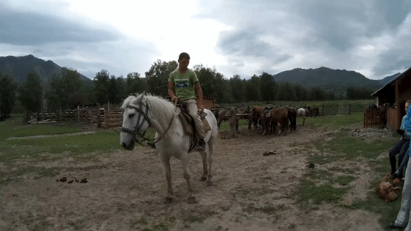 
Инструктор в горах объясняет как ездить на коне