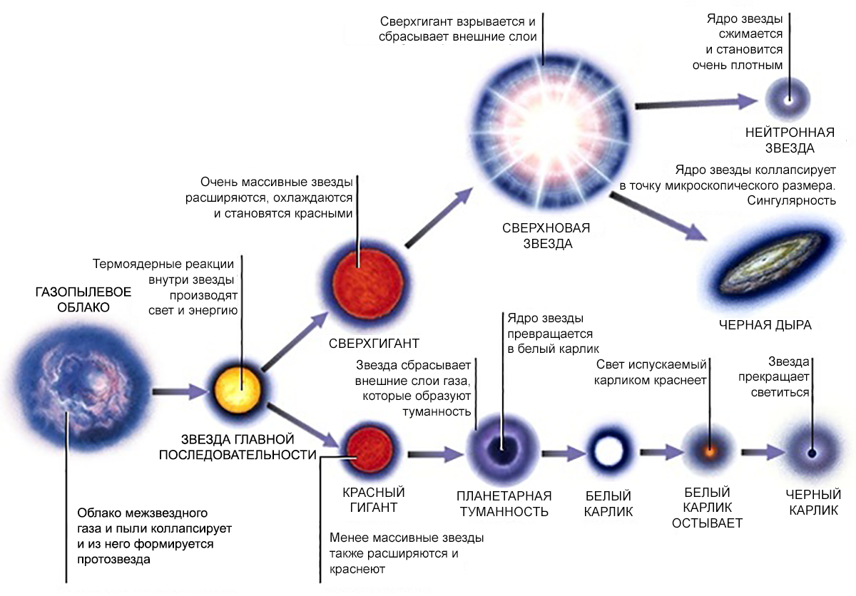 Путь жизни звезды. Жизненный цикл звезды. Стадии жизненного цикла звезды. Сверхновая звезда цикл. Этапы эволюции звезд схема.
