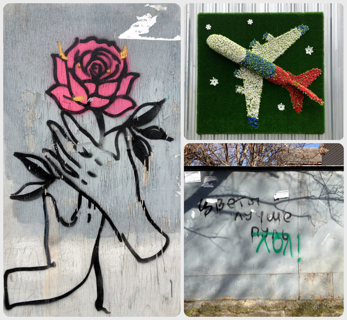 Самолет из цветов расположен на стене между аэропортом и цветочным магазином