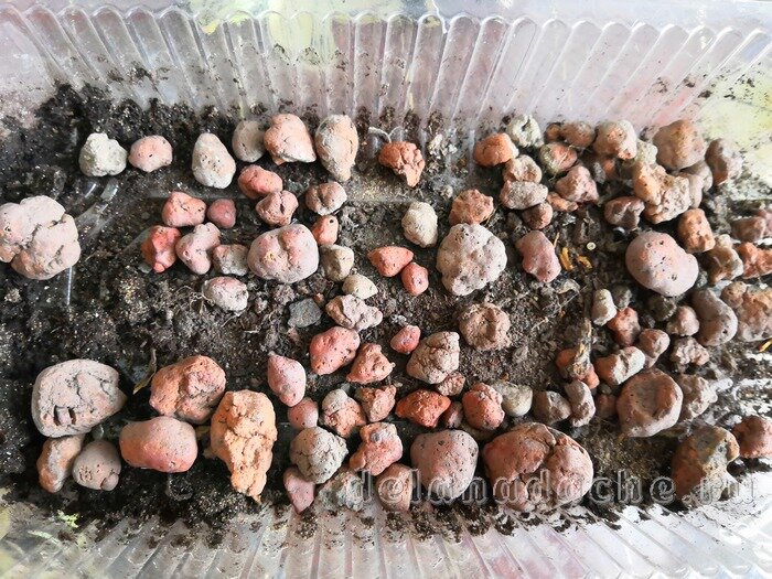 фото из личного архива