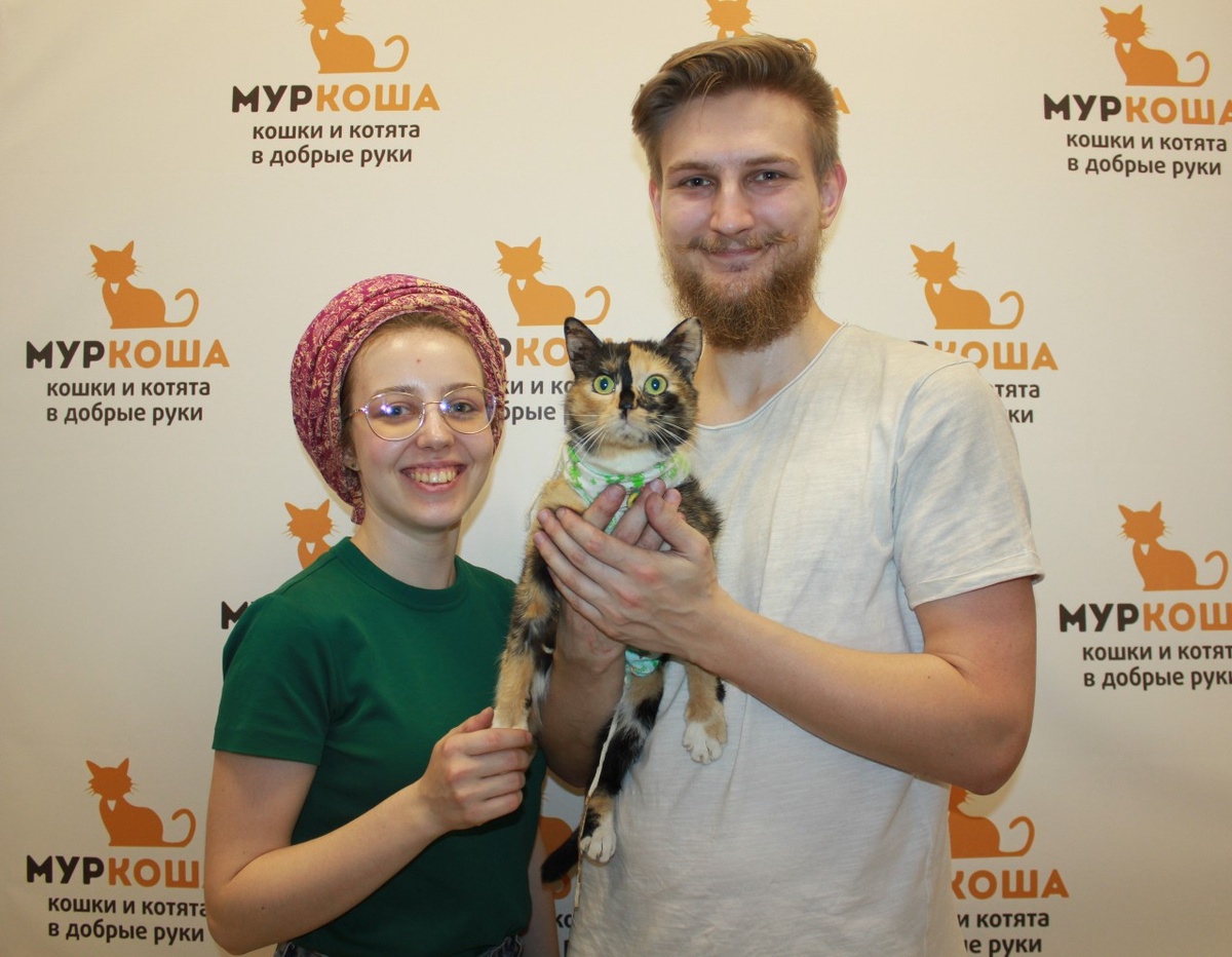 Первая ласточка из дома: Здравствуйте! На связи *** и Клара! Она сразу же освоилась в квартире, везде все понюхала, везде прошлась, всюду заглянула ! Мурчит и от нас не отходит - ластится и мнёт нас своими лапками ) Мы рады ей, а она, кажется, нам )) мурчалка ❤️