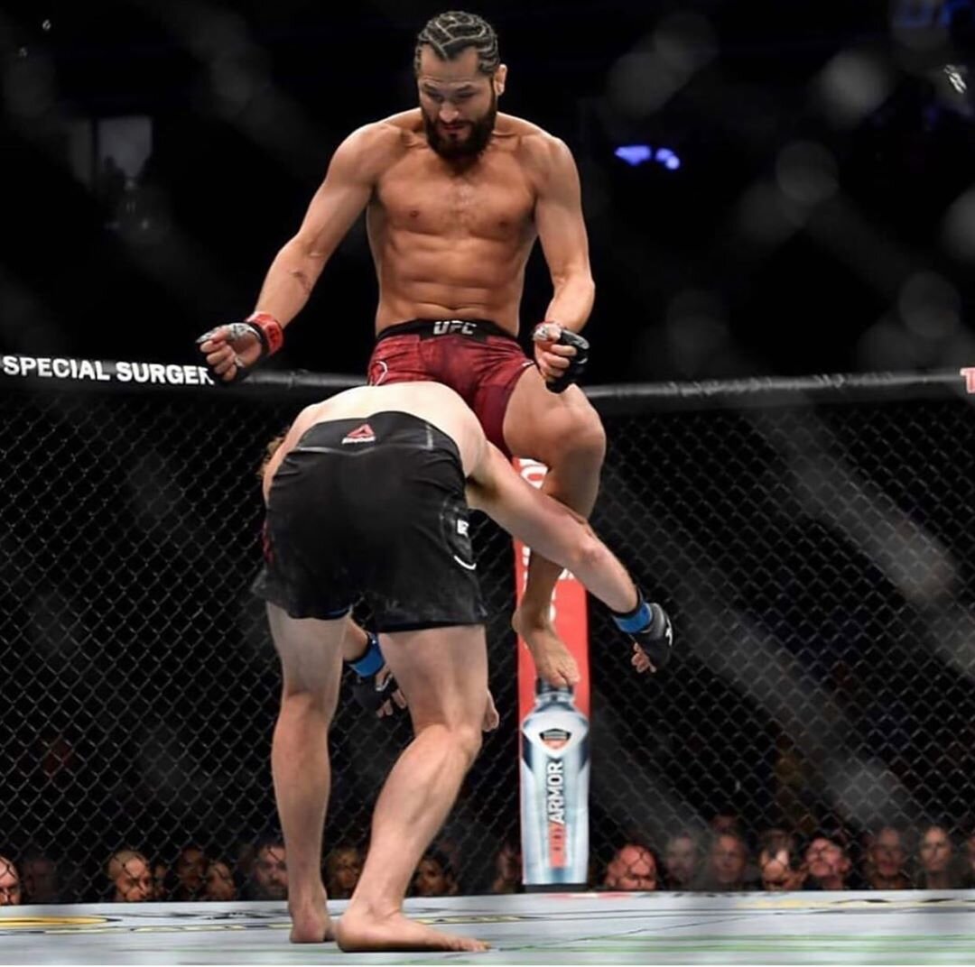 Источник: @gamebredfighter 