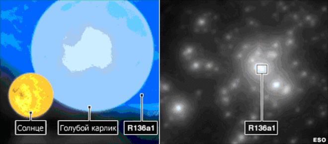 На рисунке представлены сравнительные размеры звезд разного типа – от желтых карликов вроде нашего Солнца, голубых карликов, масса которых составляет 8 солнечных, и до сверхмассивных звезд типа R136a1