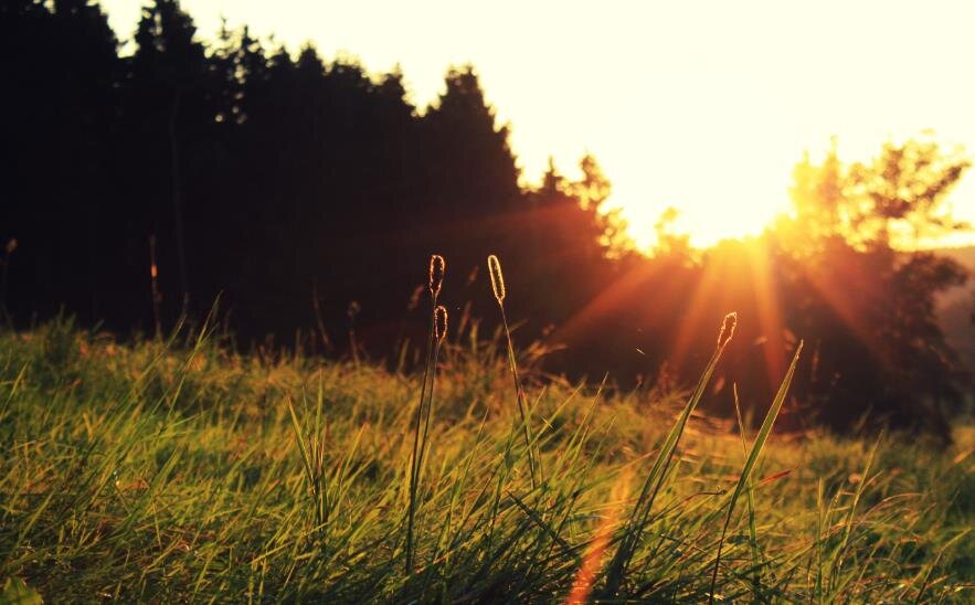 Фото – zastavki.com