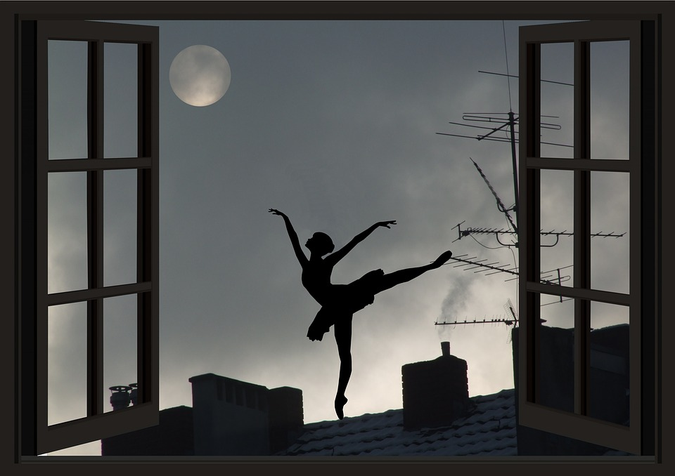 https://pixabay.com/ru/photos/%D0%BB%D1%83%D0%BD%D0%B0-%D0%BB%D1%83%D0%BD%D0%B0%D1%82%D0%B8%D0%BA-%D0%B2%D1%81%D0%B5%D0%BB%D0%B5%D0%BD%D0%BD%D0%B0%D1%8F-%D0%B1%D0%B0%D0%BB%D0%B5%D1%80%D0%B8%D0%BD%D0%B0-3384376/