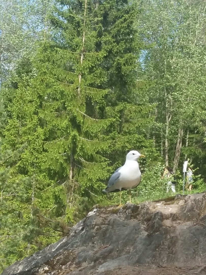 Это Евгений. Виктора,к сожалению,не сфотографировал.