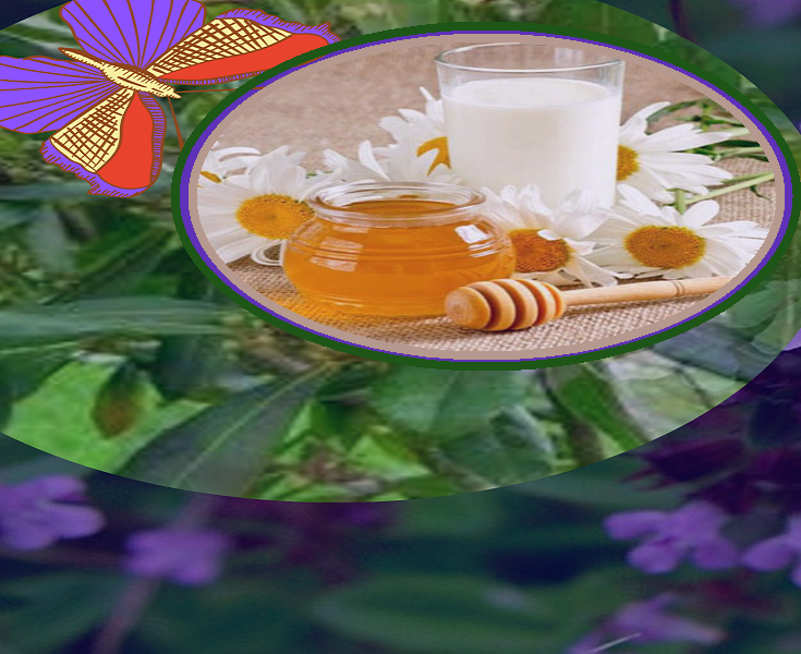 Фото:  молоко и мед