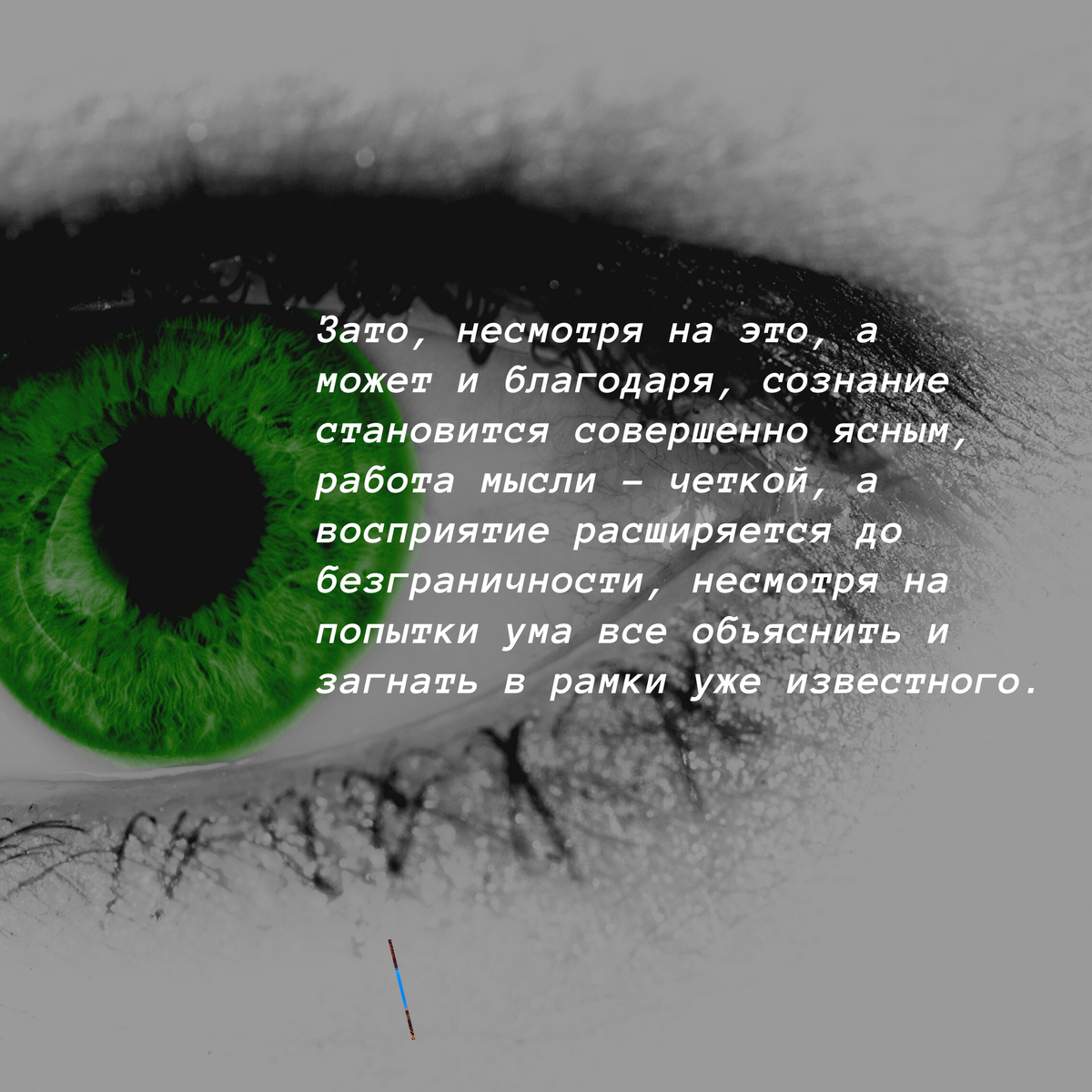 Не туристический опыт Аяваски. Начало.
