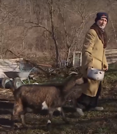 В Хадыженске 79-летнего заблудившегося мужчину спасли от холода козы.