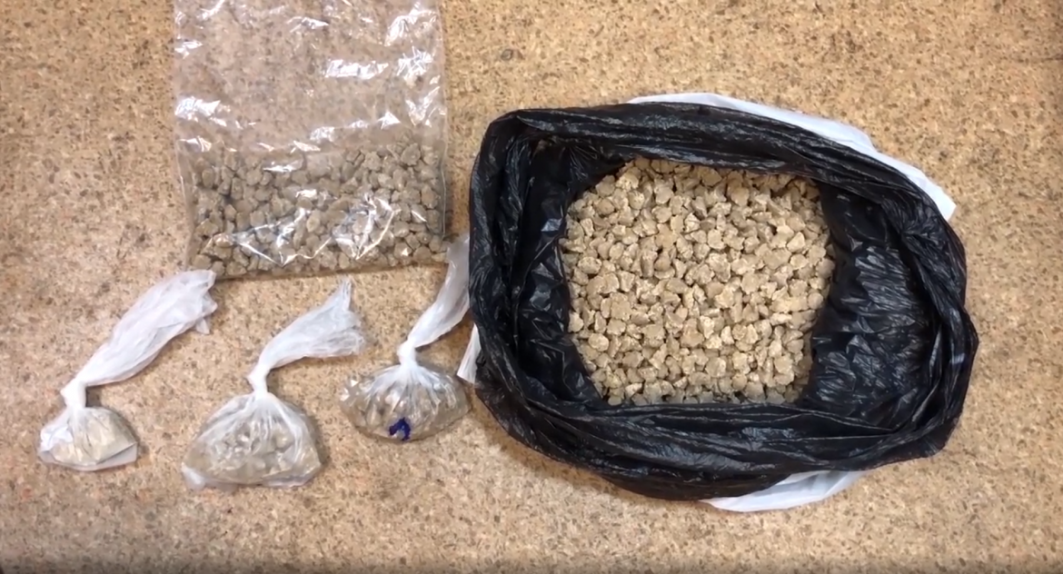 Фото: Пресс-служба ГУ МВД России по Московской области